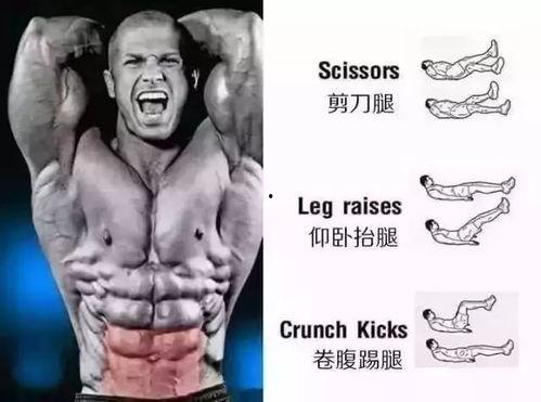 吃瓜网没腹肌的张张,吃瓜网上的腹肌“清流”