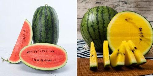 cgcg吃瓜网免费,cgcg吃瓜网带你免费畅游八卦世界